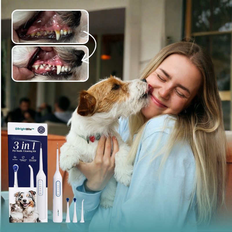 BrightBite™ Sonic Tandrensare för Hundar